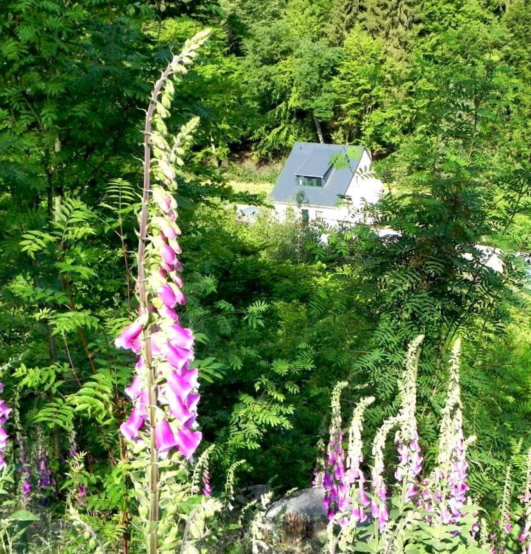 Ferienhaus Buschmuehle - Stolpen Exterior foto